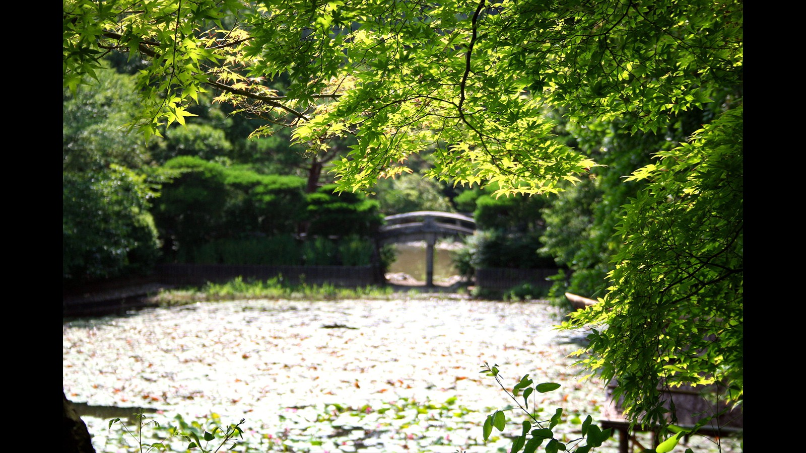 17_Lake_outside_Ryoan-ji_Temple